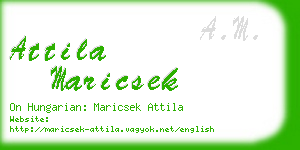 attila maricsek business card